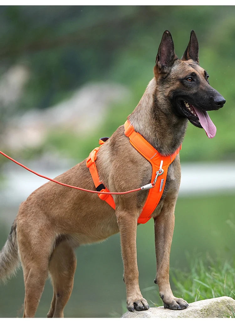 Hundegeschirr No Pull Reflektierendes Hundegeschirr für kleine, mittelgroße und große Hunde