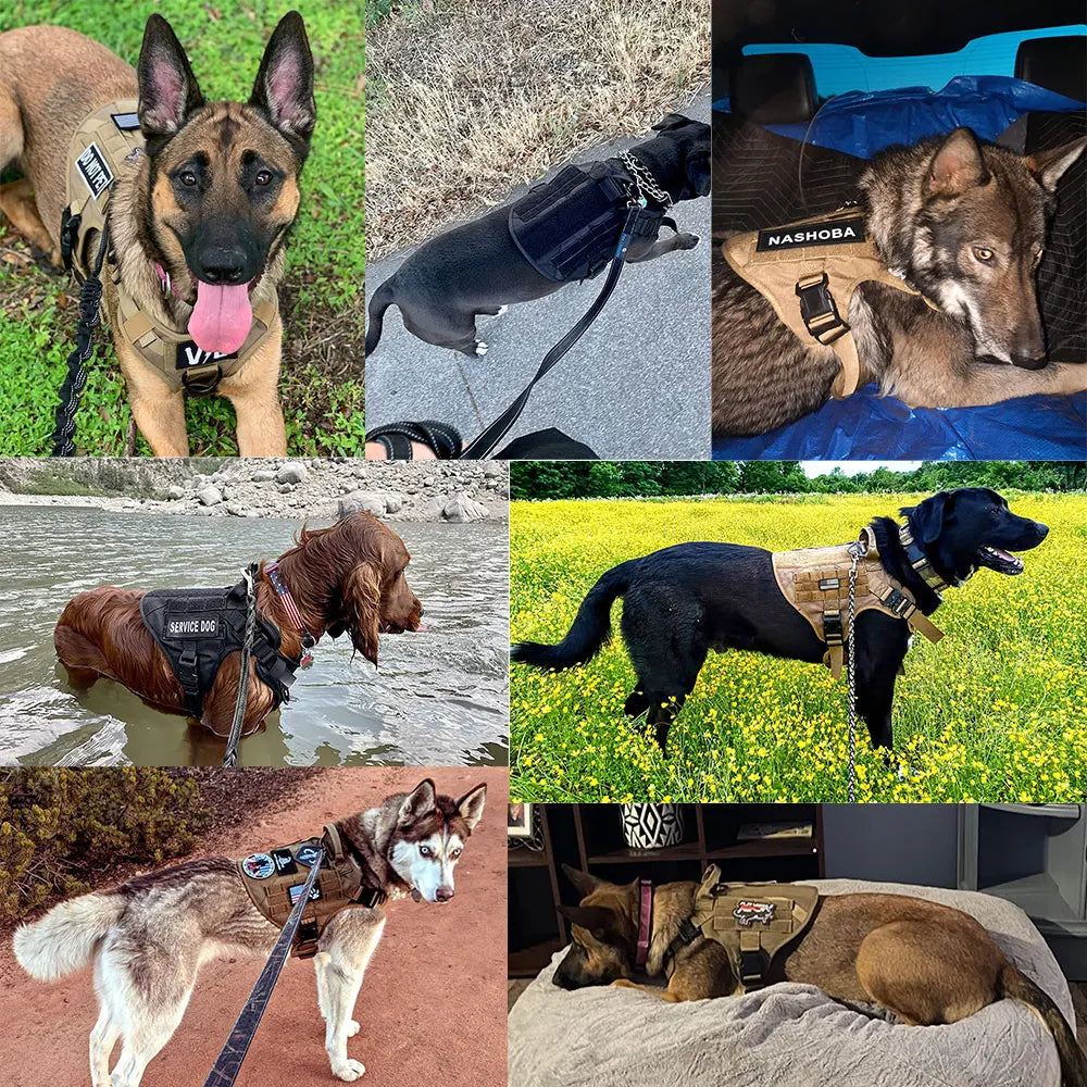 Großes Hundegeschirr Halsband Leine Taschen Wanderweste Hundegeschirre für mittelgroße bis große Hunde